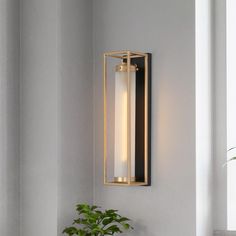 a wall light that is next to a potted plant in a room with white walls