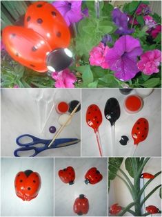 various pictures of ladybug decorations and flowers