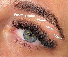 Map Eyelash Extensions, Lash Extension Map, Eyelash Growth Cycle, Lash Map, Best Lash Extensions, Lash Mapping