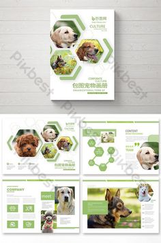 the dog brochure is shown in three different colors and sizes, including green