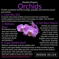 Orchid Witchcraft, Hoodoo Flowers, Hoodoo Ingredients, Ms Avi, Solitary Witch