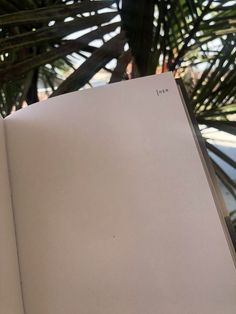 an open book sitting on top of a table next to a palm leaf covered wall