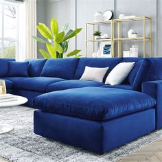 a living room with blue couches and rugs