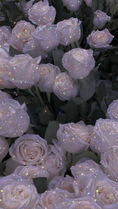 many white roses with some glitter on them