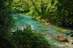 the water is blue and green with rocks in it, surrounded by lush greenery