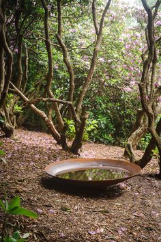 a wooden bowl sitting on top of a dirt ground in front of some trees and flowers