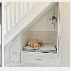 a dog laying on its bed under the stairs in a house with white walls and flooring