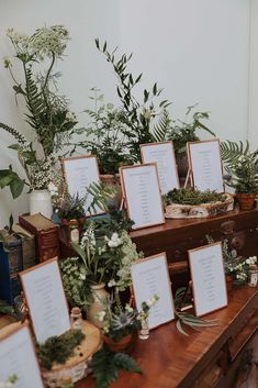 there are many plants and place cards on the table