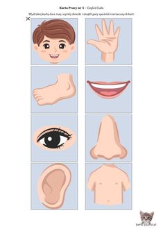 an image of different facial expressions and gestures for children to learn with their eyes, nose,