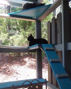 two cats sitting on top of a blue slide