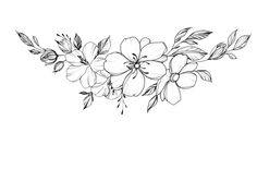 a black and white drawing of flowers with leaves on the bottom half of each flower