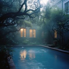 an empty pool in front of a house with trees and bushes around it at night