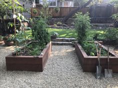 a garden filled with lots of different types of plants