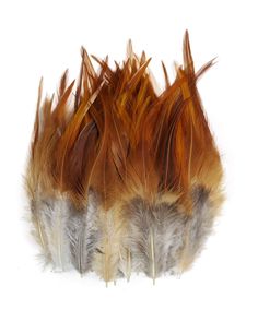 three feathers with brown and white colors on them