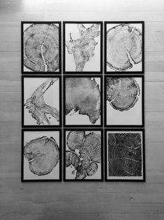 four black and white pictures hanging on the wall