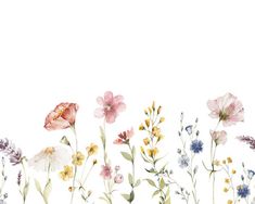 watercolor painting of flowers on a white background