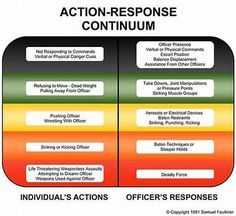 an image of the action - response continuum with two sections labeled in red, green and yellow