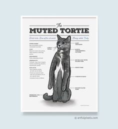 a poster with an image of a cat on it's back and the words, muffed torte