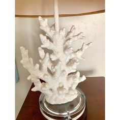 a white coral in a glass vase on a wooden table with a lamp behind it