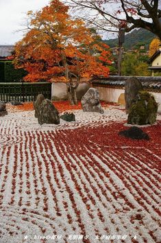 a japanese garden with rocks and trees in the background, red leaves on the ground