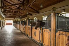 there is a horse that is looking over the fence in the stable at the end of the walkway