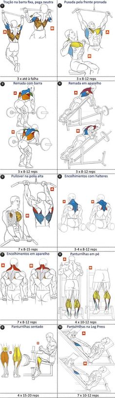 the instructions for how to do a bench sit - on - top exercise with birds