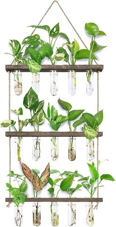 a hanging planter filled with lots of green plants and some glass bottles on top of it