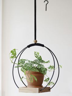 a potted plant is hanging from a metal ring