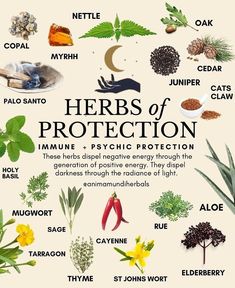 Herbs to help protect you and around you. Ways to use more herbs in the link! Witchy Remedies, Magick Herbs, Herbs For Protection, Witch Tips, Medical Herbs, Green Witchcraft