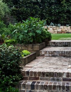 an outdoor garden area with steps and plants