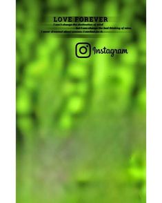 an instagram photo with the words love forever on it and green blurry background