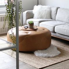 a living room filled with furniture and a potted plant on top of a ottoman