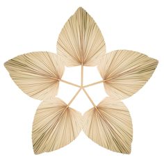 four bamboo leaves arranged in the shape of a flower