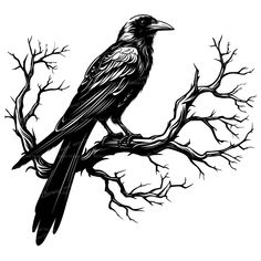 a black and white drawing of a bird on a tree branch with no leaves in the background