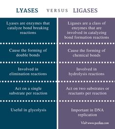 two different types of bonds and bonds that are both in the same type of bonds