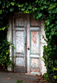 an old door with vines growing over it