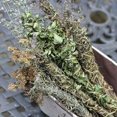 a bunch of dried herbs in a metal container