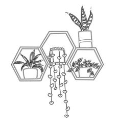 three hexagonal hanging planters with plants in them, one on each side