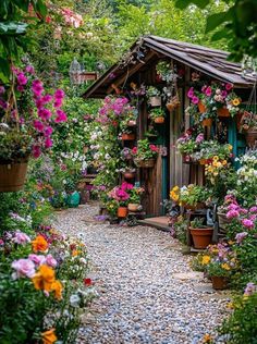 an outdoor garden with lots of flowers and potted plants on the side of it