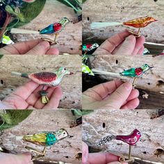 several small birds are being held in their hands