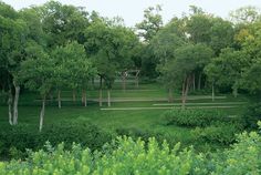 a lush green field surrounded by trees and benches in the middle of it's forest