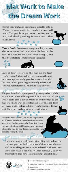 an info sheet describing how to make the dream work for dogs and cats in different ways