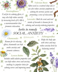 Incorporating plants like Passionflower, Valerian Root, Chamomile, and Lavender into your routine can support relaxation and calm your nerves. Whether it's soothing anxiety with Ashwagandha or reducing stress with Lemon Balm, these powerful herbs work with your body to promote a sense of calm and balance. 💚✨ Herbal Living, Magick Herbs, Essential Oils Herbs, Natural Sleep Aids, Valerian Root, Cottage Life, Herbs For Health, Valerian, Natural Sleep