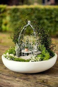 a white birdcage filled with plants on top of a wooden table