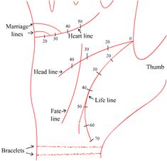 the diagram shows how to use hand signals