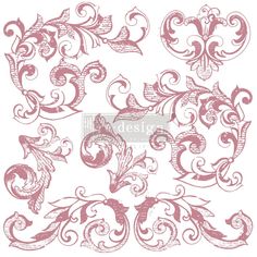 an ornate design with swirls and scrolls on white background stock photo, royalty illustration