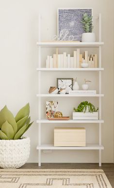 a white shelf with books and plants on it next to a potted succulent