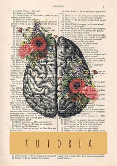 a book with an image of a brain and flowers on it's side, in front of the words tuttoria