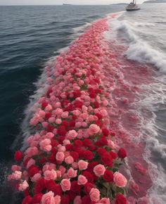 a long line of flowers on the back of a boat