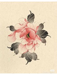 Orientalism Flower Tattoo, Red Peony Drawing, Pink Japanese Flower Tattoo, Japanese Peony Flower Tattoo Design, Peony Color Tattoo, Japanese Peonies Tattoo, How To Draw Peony, Japanese Tattoo Peony, Peony Irezumi